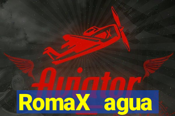 RomaX agua sanitaria fispq agua sanitaria romax