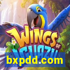 bxpdd.com