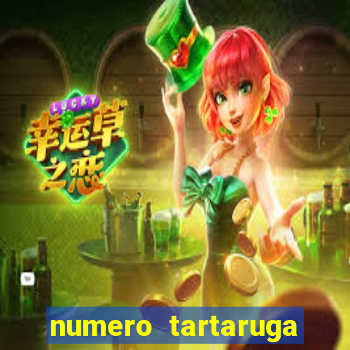 numero tartaruga jogo do bicho