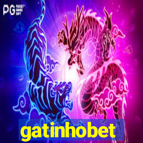 gatinhobet