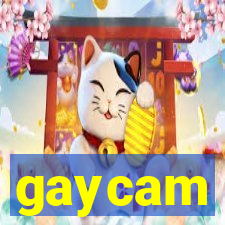 gaycam