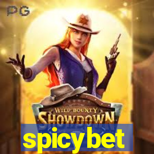 spicybet-4.com