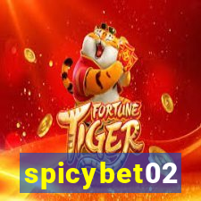 spicybet02