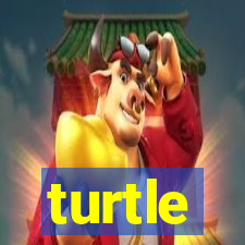 turtle-ty.com