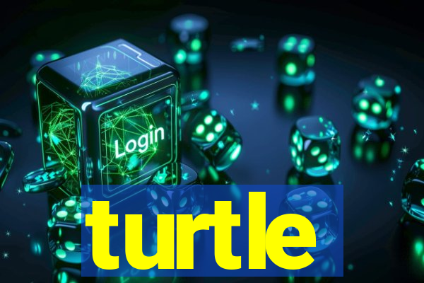 turtle-ty.com